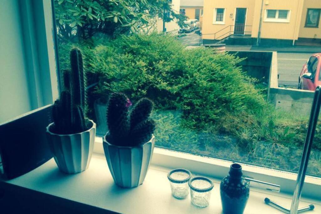 The Perfect Base In Torshavn Appartement Buitenkant foto